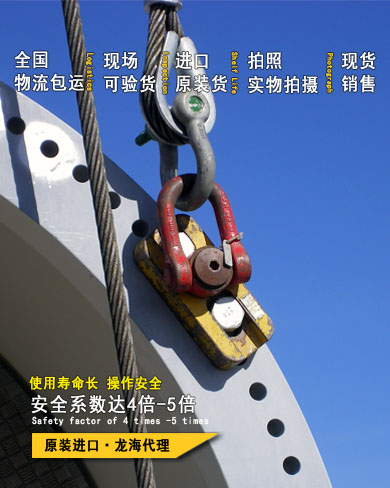 DSS型CODIPRO旋轉吊環